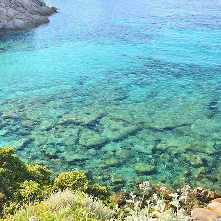 Residence Frontemare Santa Teresa Gallura Eksteriør billede