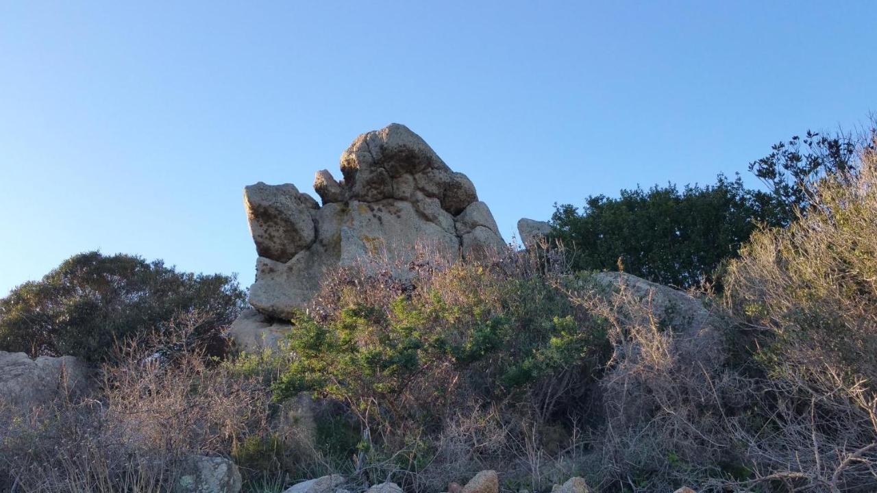 Residence Frontemare Santa Teresa Gallura Værelse billede